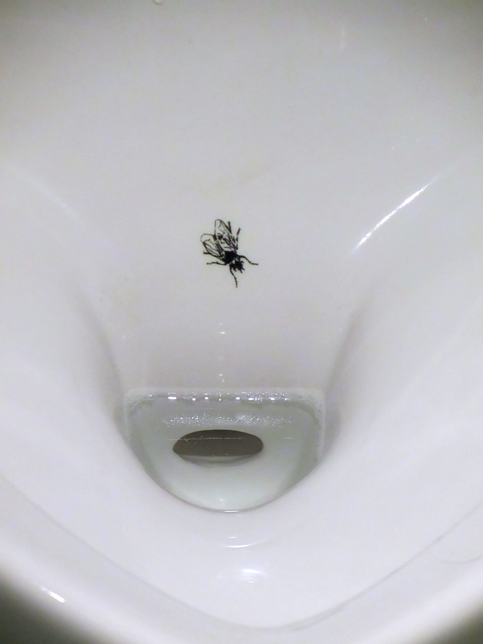 Urinal_FLy2