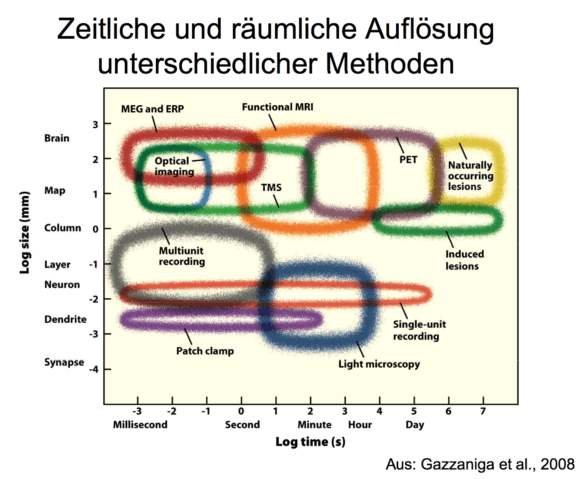 abb.-1-darstellung-der-verschiedenen-methoden-©-gazzaniga-ivry-mangun-2009