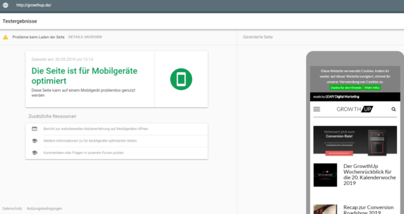 abb.-2-schein-alles-zu-funktionieren-©-screenshot-google-test-my-site