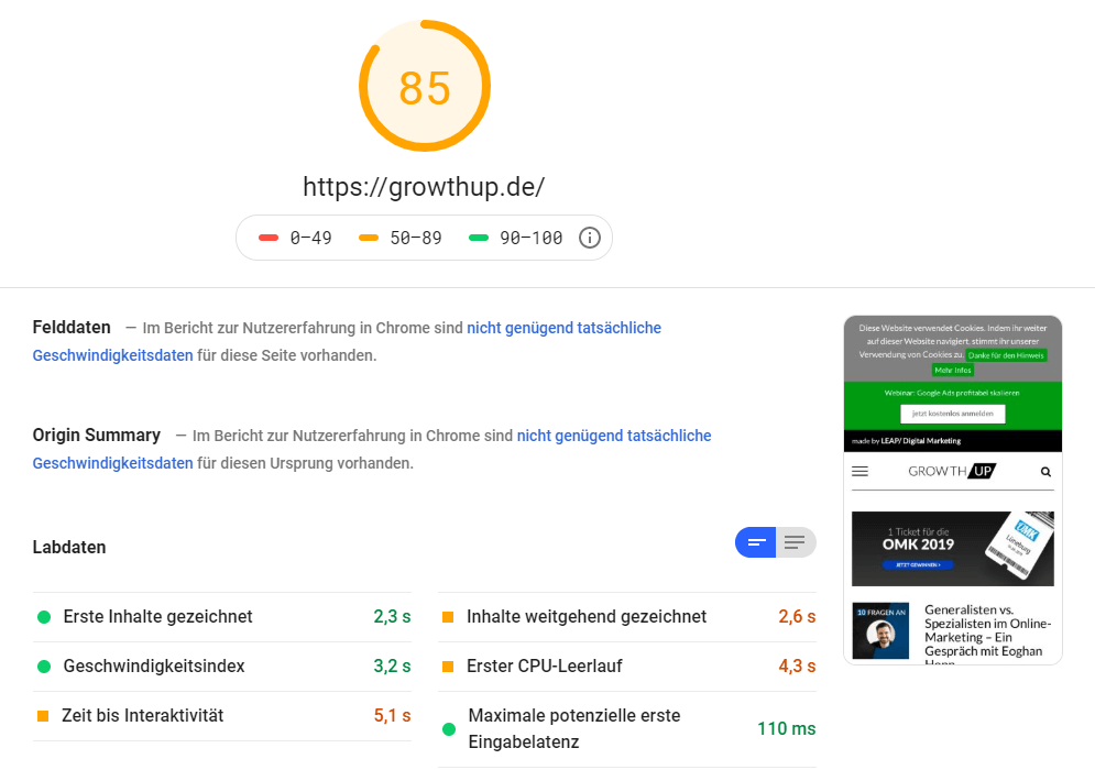 abb.-3-screenshot-pagespeed-insights-analyse-fuer-growthup.de_